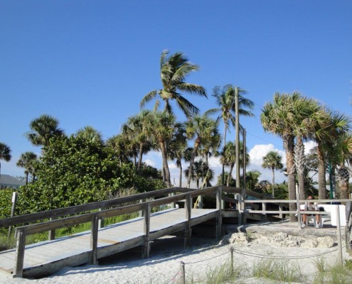 Palmen Strand