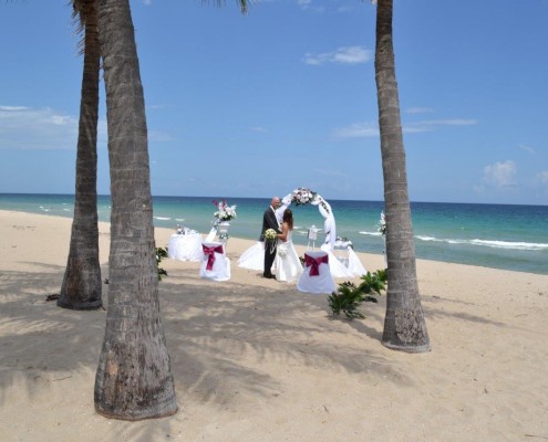 Hochzeit unter Palmen