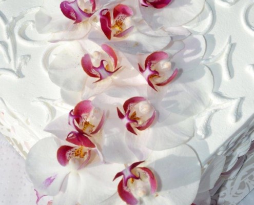 Orchids on Wedding Cake